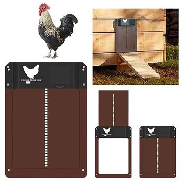 Porta automatica del pollaio con rilevamento della luce porta automatica  del pollaio porta del pollaio porta del pollo per allevamento domestico -  AliExpress