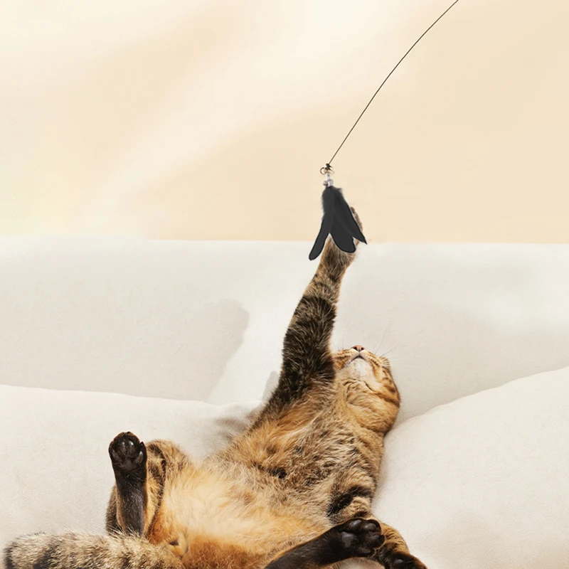 Suction Cup Cat Wand Teaser with Feather Handfree Toys for Cats Kitten interact Pet Product Accessories for Dropshipping