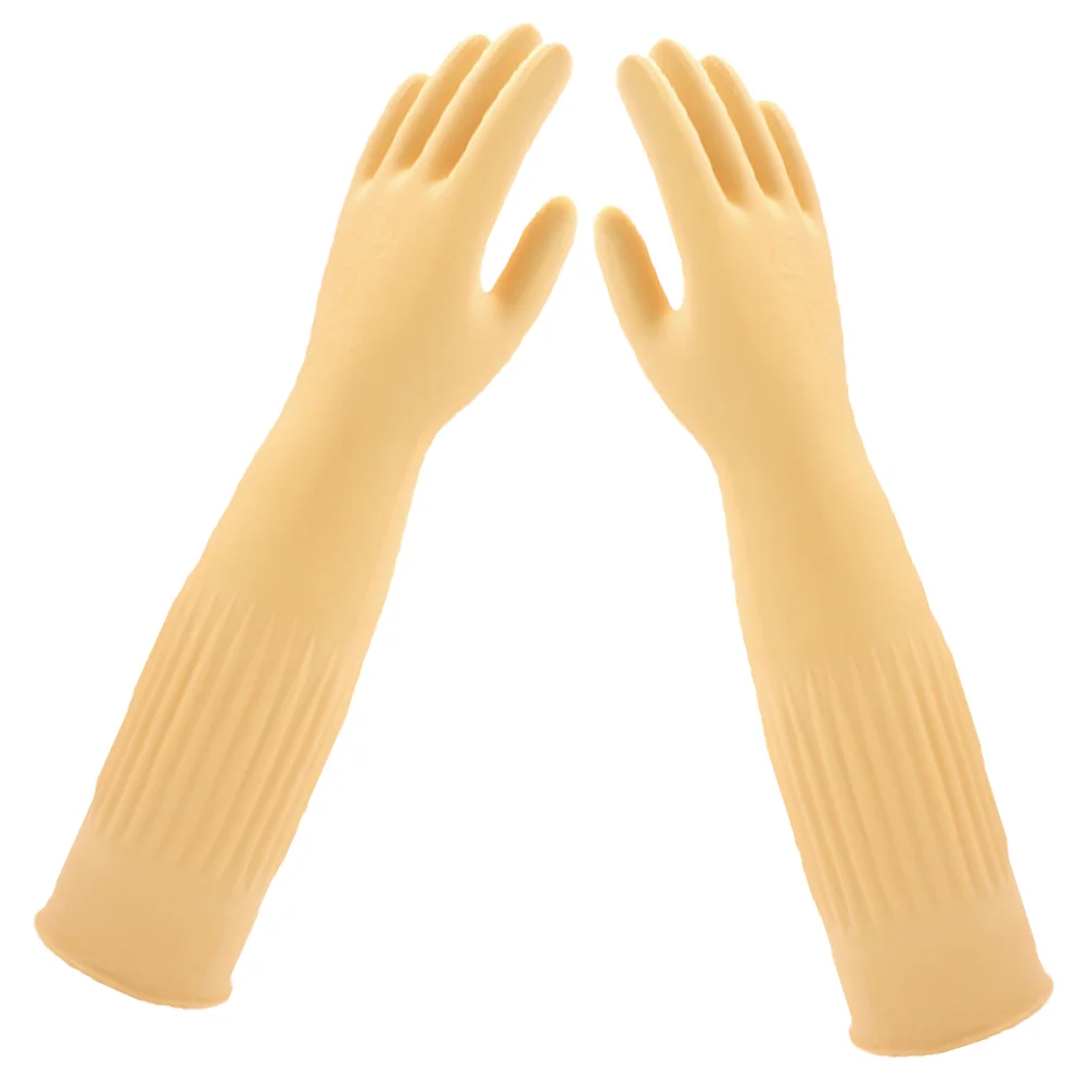  û 尩,   ֹ ı ô 尩, 1 