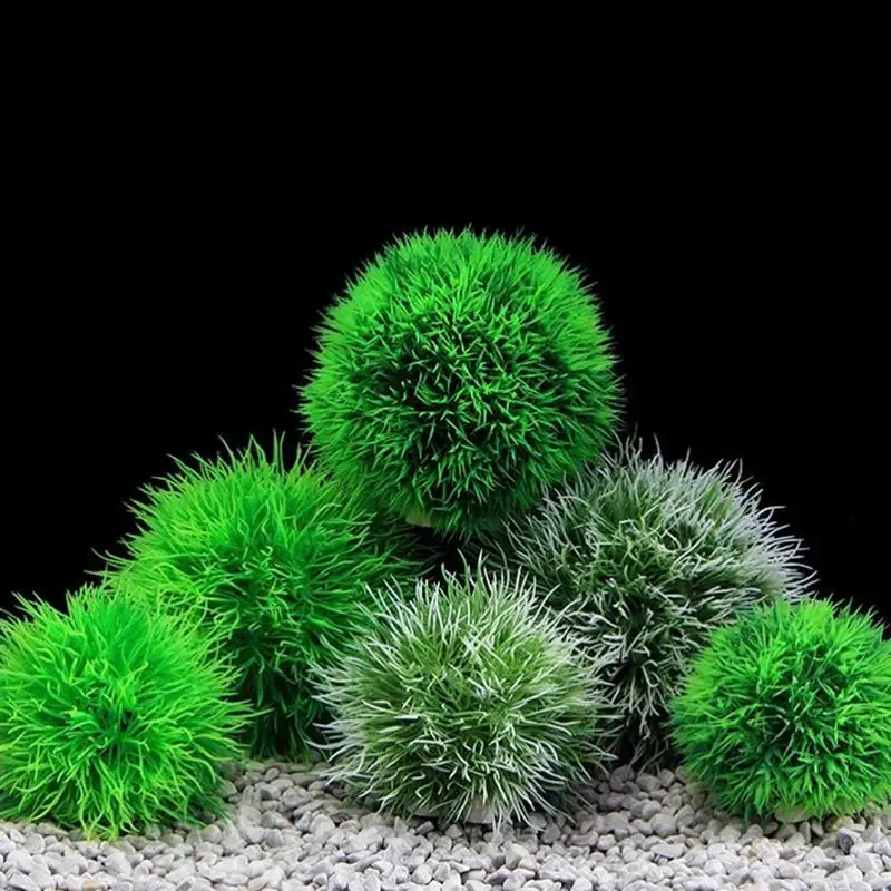 Marimo Moss Balls Live Aquarium Plant Alghe Fish Shrimp Tank Ornament Simulazione Green Alghe Balls Pianta Artificiale