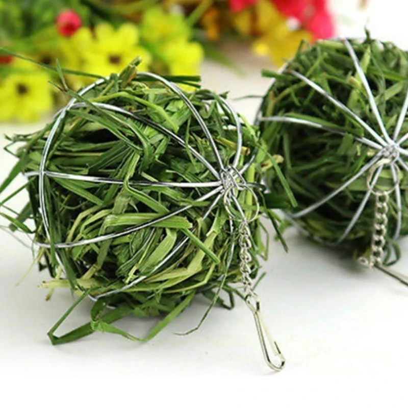 Hanging Hay Feeder Ball 4