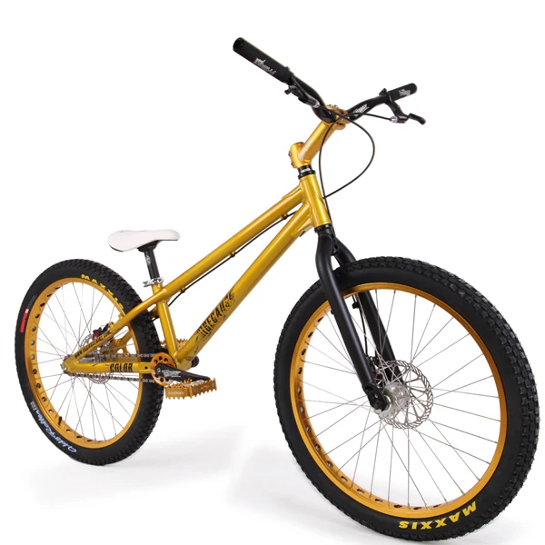 Because Trial トライアル 20インチ カラー 車・バイク・自転車 Because Trial トライアル 20インチ