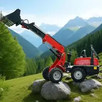 Customized Articulated Front Micro Wheel Loader Telescopic Arm Series Compact Small Wheel Loaders for European Market