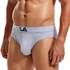 Mens Sexy Underwear Briefs Sexy Slip For Men Slip Homme Gays Calzoncillos Hombre трусы мужские плавки 1
