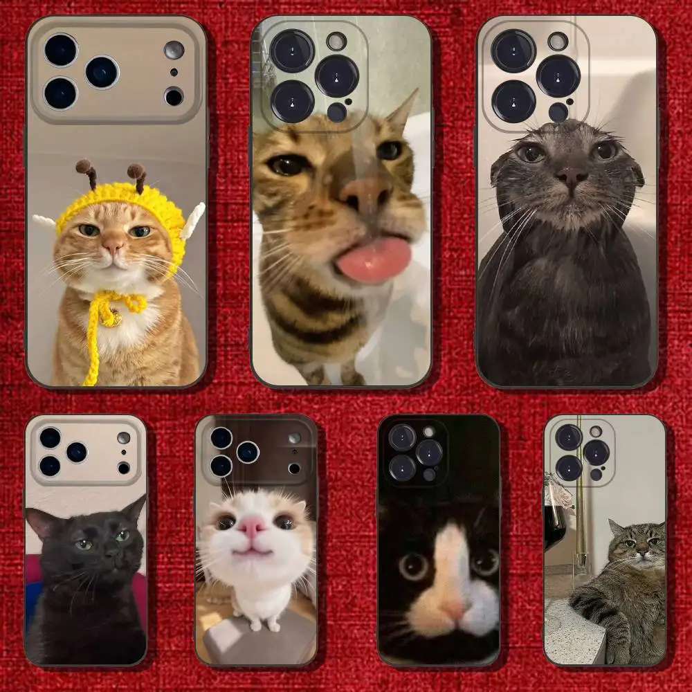 Funny Animal Cat Phone Case For iPhone 17 16 15 11 12