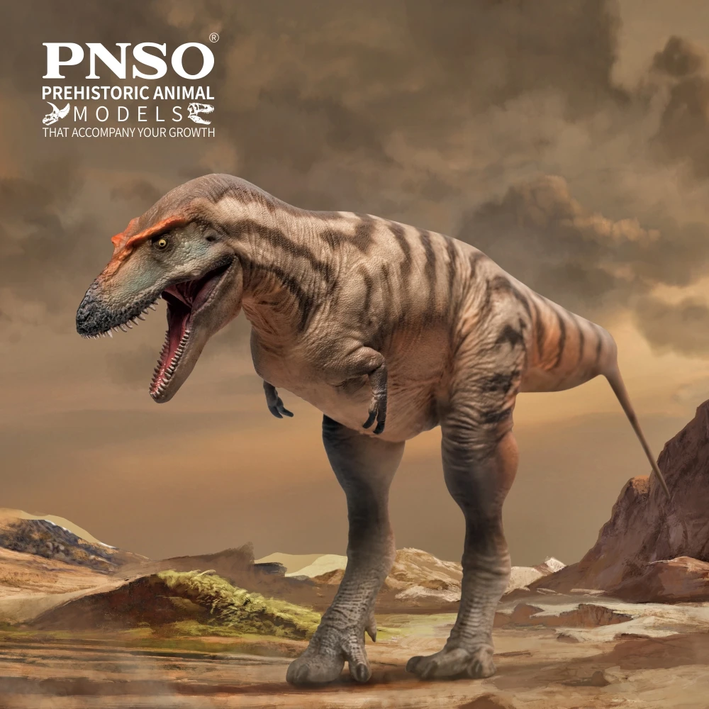 

PNSO Prehistoric Dinosaur Models:71Tristan the Gorgosaurus