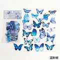 Blue butterfly
