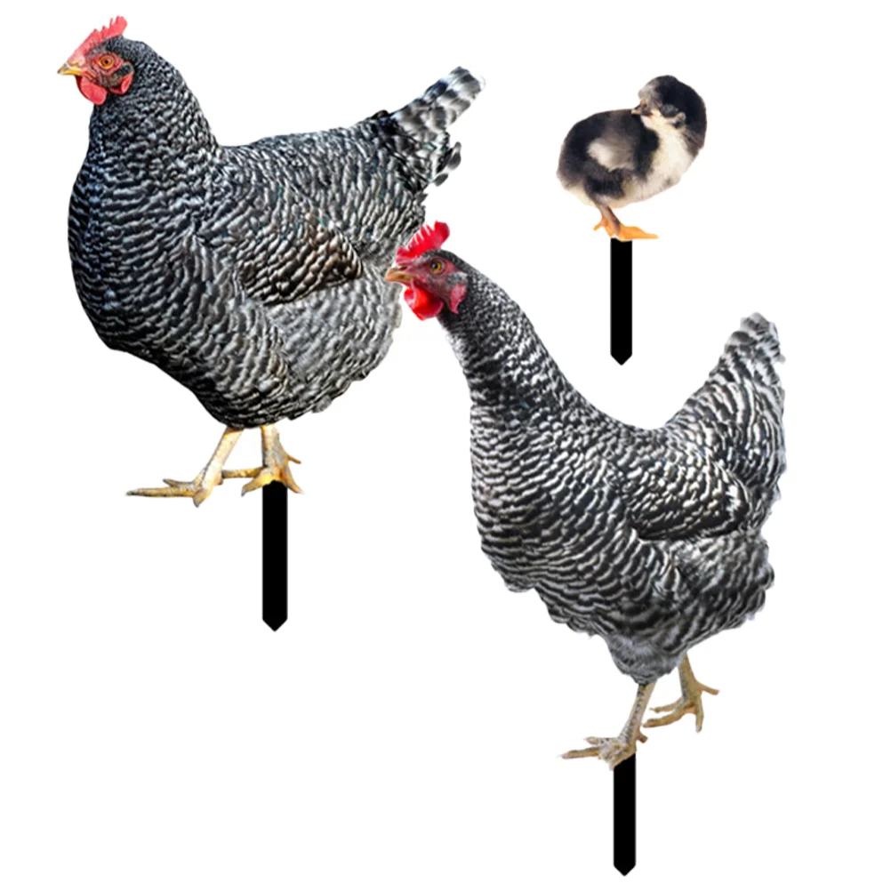 

3 Pcs Pheasant Garden Decoration Yard Animal Stake Ornaments Chicken Decorations Insert