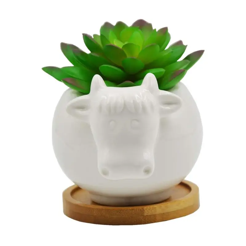 

Highland Cow Planter Creative Animal Shaped Cactus Succulent Pot Mini Pot Cartoon Shaped Plant Pot for Mini Plants Flower