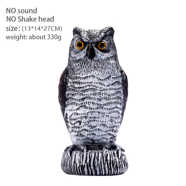 No Sound no Shake