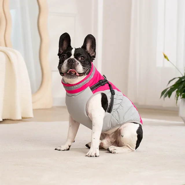 Waterproof Pet Jacket 4