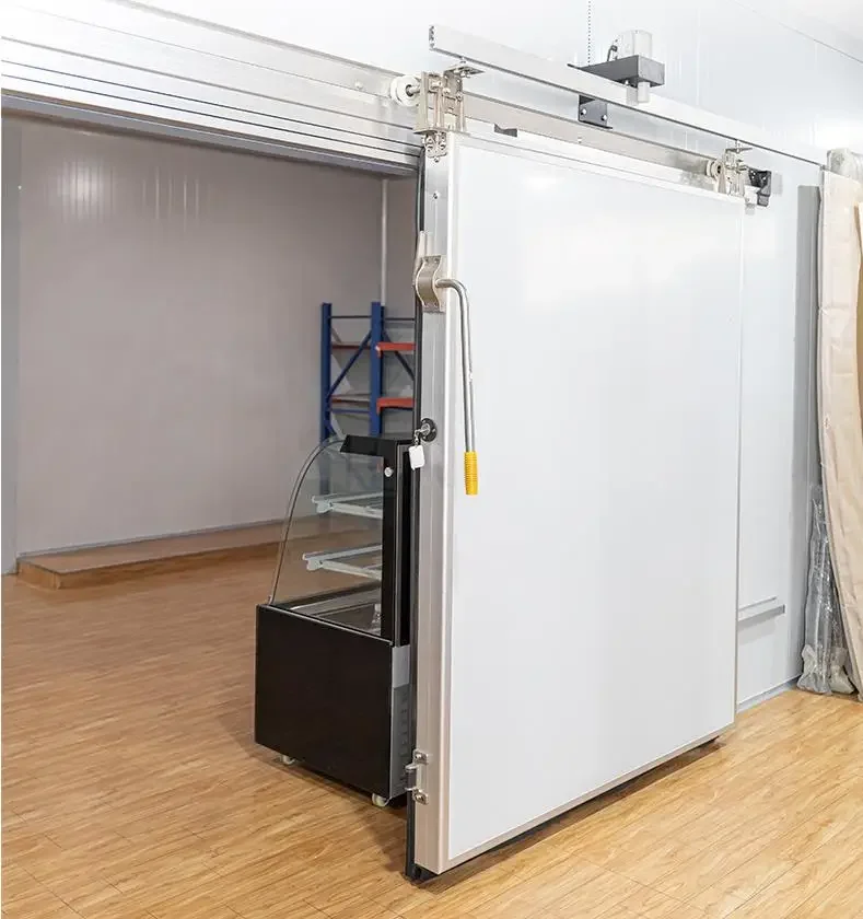 45c Freezing Chamber Restaurant Equipment Water Chiller Cold Room With Pump Freezer