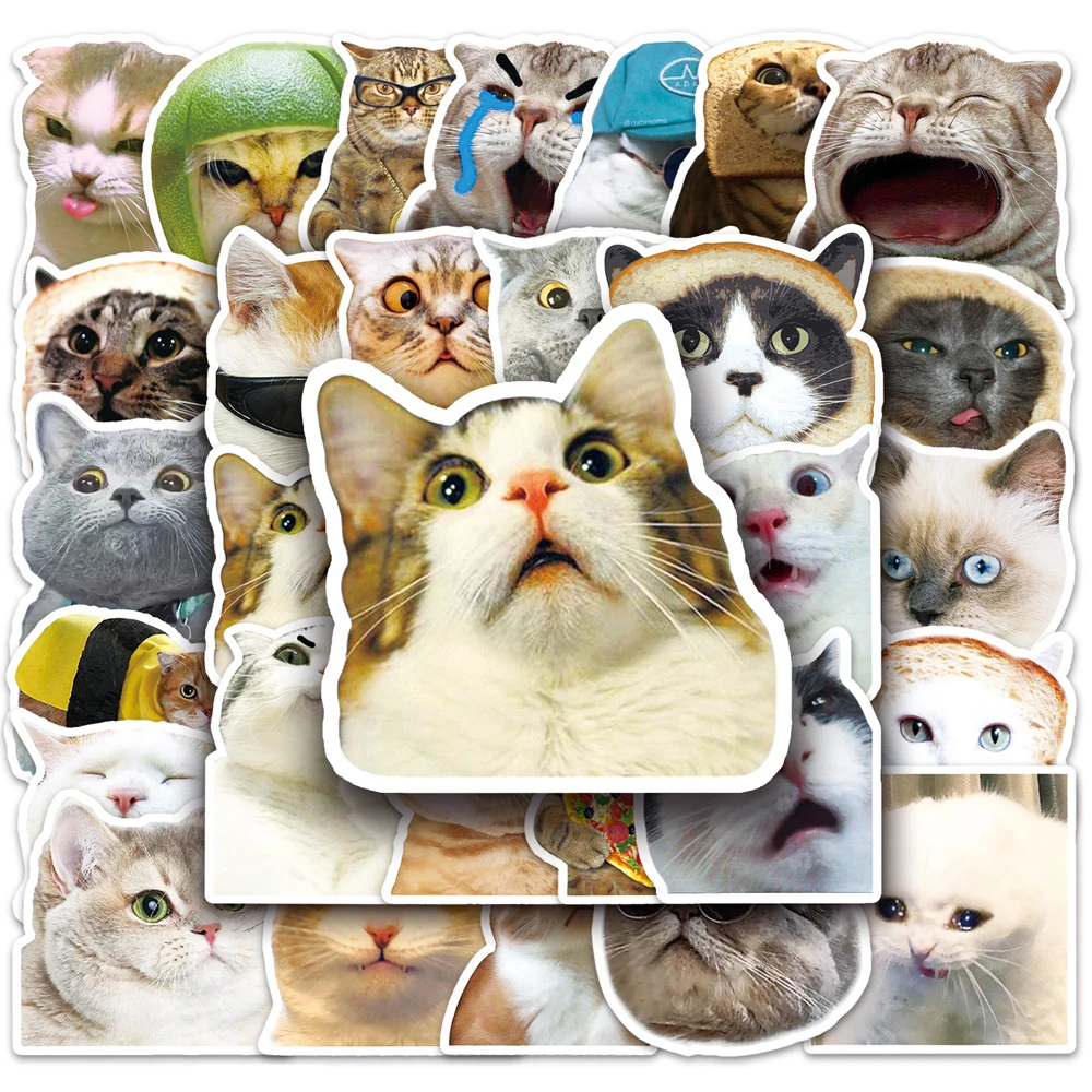 

10/30/50pcs Funny Animal Cat MEME Stickers for Kids Cartoon Decals DIY Phone Case Laptop Luggage Kawaii Joke Sticker Wholesale