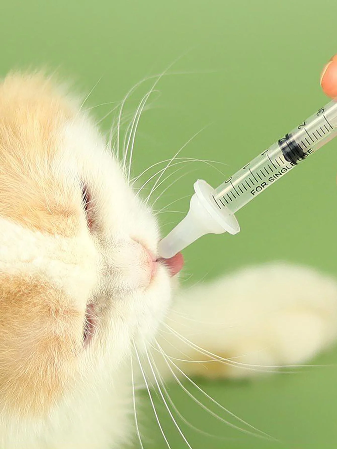 Newborn Kitten Feeding Set - Pet Bottle and Cat Milk Dispenser