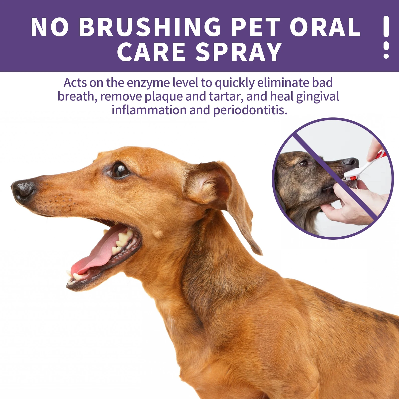 Pet Oral Care Spray Fresh Breath and Teeth Cleaning Spray,Pet Breath Freshener Reduce Tartar Pet Healthy Oral Hygiene Solutions