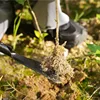 Metal Garden Tools Digging Transplanting Vegetables Flower Planting Hand Shovels Hoe Weeding Shovel Potting Soils Scoop Spade 5