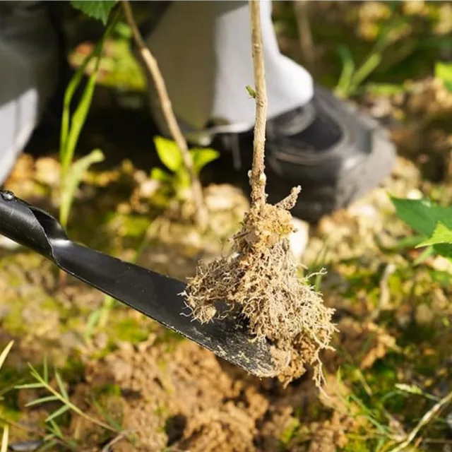 Metal Garden Tools Digging Transplanting Vegetables Flower Planting Hand Shovels Hoe Weeding Shovel Potting Soils Scoop Spade 5