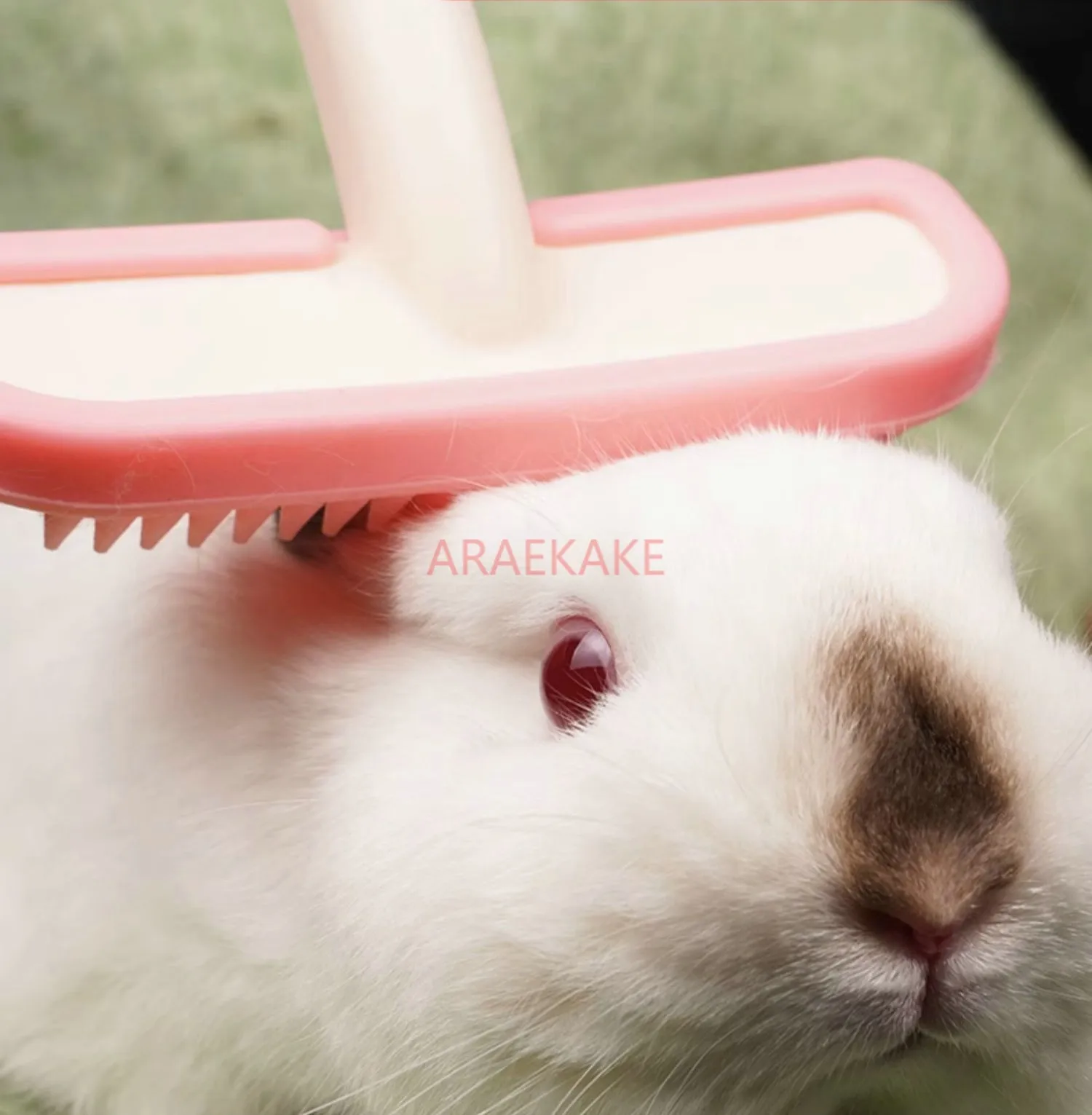 Small Pet Comb Rabbit Cat Silicone Hair Comb Special Tool Guinea Pig Dragon Cat to Remove Floating Hair