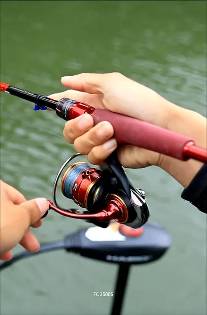 2022 DAIWA SALAMANDURA FC LT 1000S 2000S-H 2500S SALAMANDUR