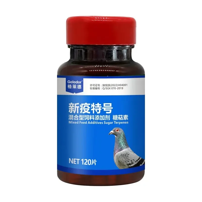 Pigeon Newcastle disease adenovirus clearing water green stools special Racing Pigeons