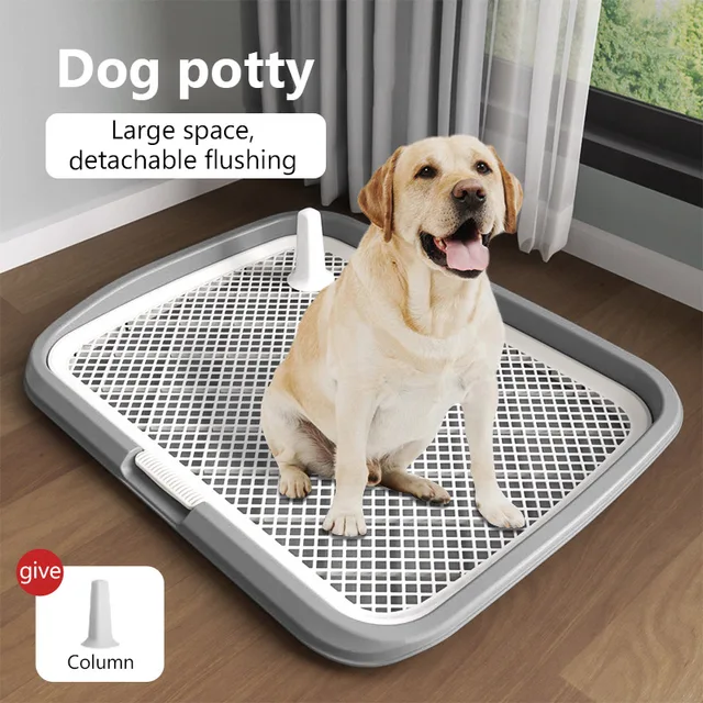 Toilet Training Best Puppy Potty Training Pads Best Puppy Pee Pads