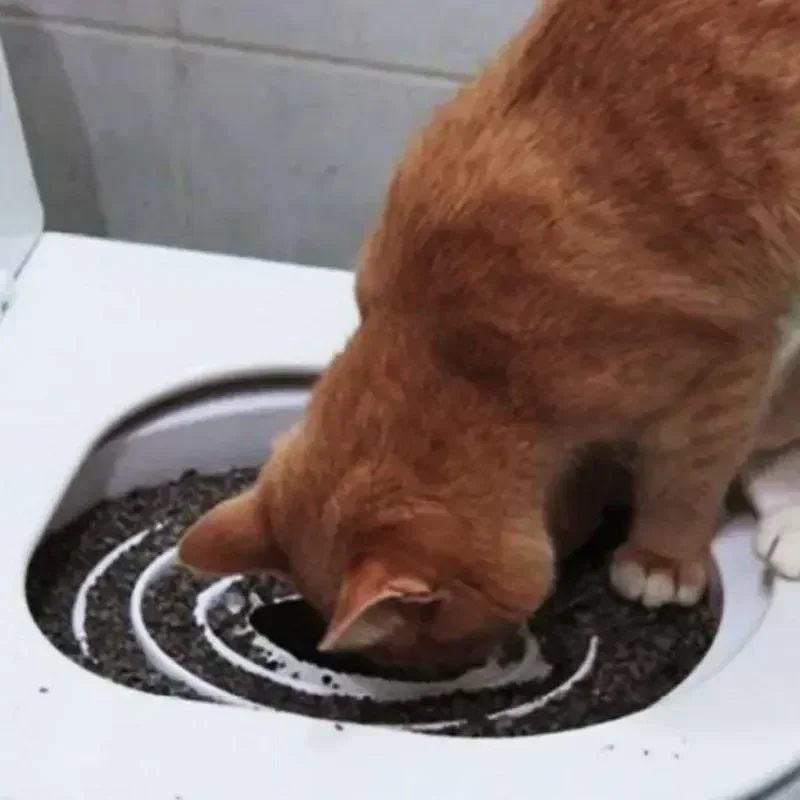 Kitten Reusable Pet Litter Trainer Potty Cats Supplies Tray Indoor Professional Kit Puppy Toilet Cat System Training