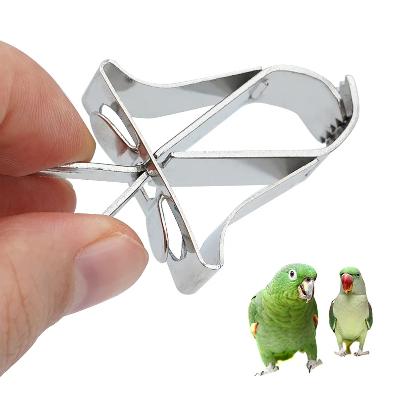 Parrot Feeder Stainless Steel Parrot Fruit Vegetable Feeding Clip Small Animals