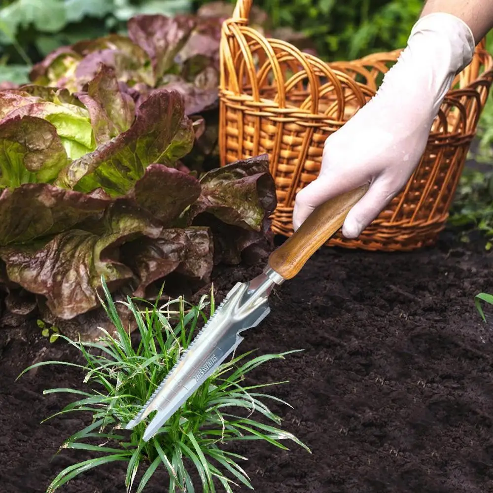 Description Picture 4 of itemHand Weeder Puller 5 In 1 Manual Hand Weeder & Weeds Puller For Planting Gardening Weeding Tool Stainless Steel Garden Trowel