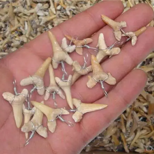 Hot Sale A++ Natural tooth reliquiae pendant energy apotropaic 1g-3g/ lot+ free rope Unique Necklace 4