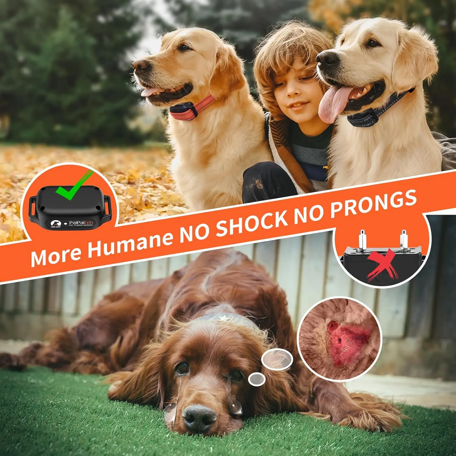 No-Shock Dog Training Collar 3