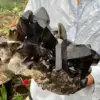 Natural Black Smoke Quartz Crystal Clusters, Quartz Original Mineral Sample Recovery Gems, Home Office Degaussing Clusters 4