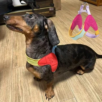 Fashion No-Pull Puppy Harness Vest 1