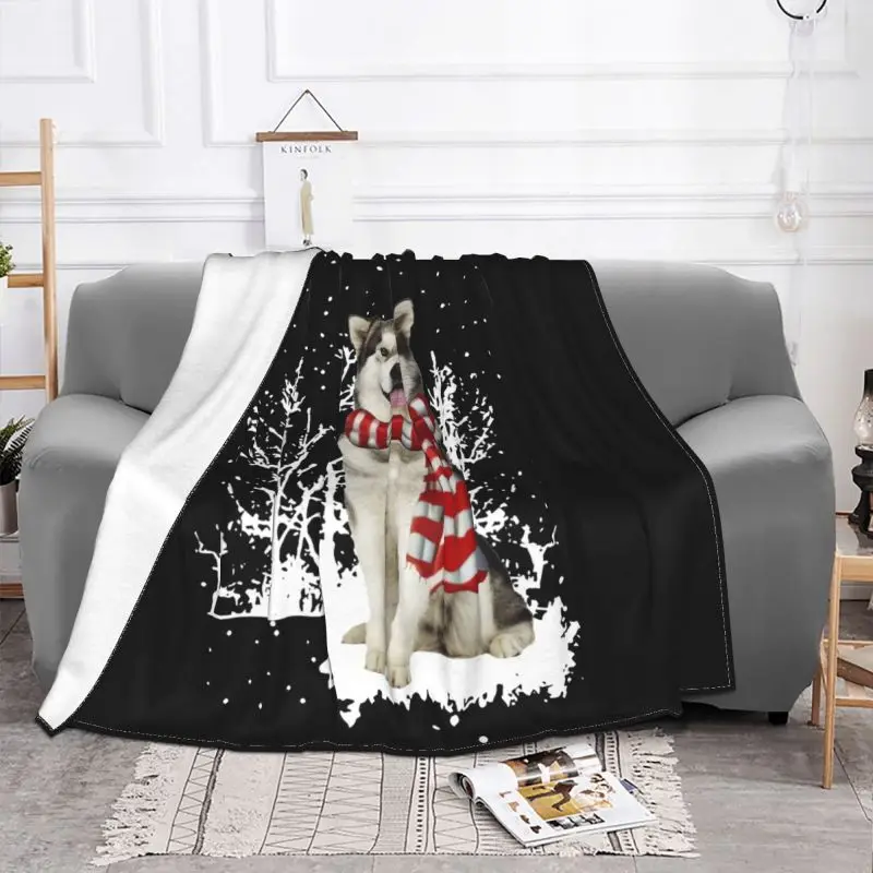 �˷���ī Malamute �޸� ũ�������� ��� ĳ�־� ���� ��ȣ ���� ��¥ ���� ��ũ ���� ���