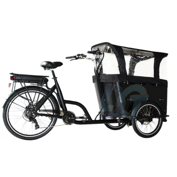 Triciclo elettrico da carico a 3 ruote da 250 Watt con motore centrale, ideale per la famiglia