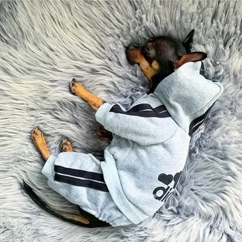 Small Dog Winter Jumpsuit Outfit 1