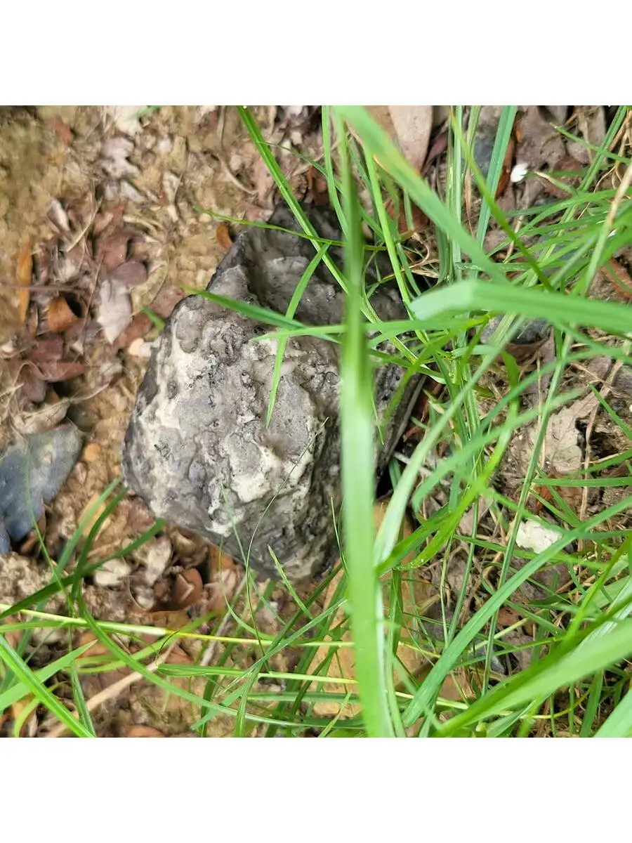 Llave de jardín de repuesto para exteriores, caja de seguridad oculta en piedra, almacenamiento seguro, contenedores ocultos, Mini caja de seguridad, casillero Mni