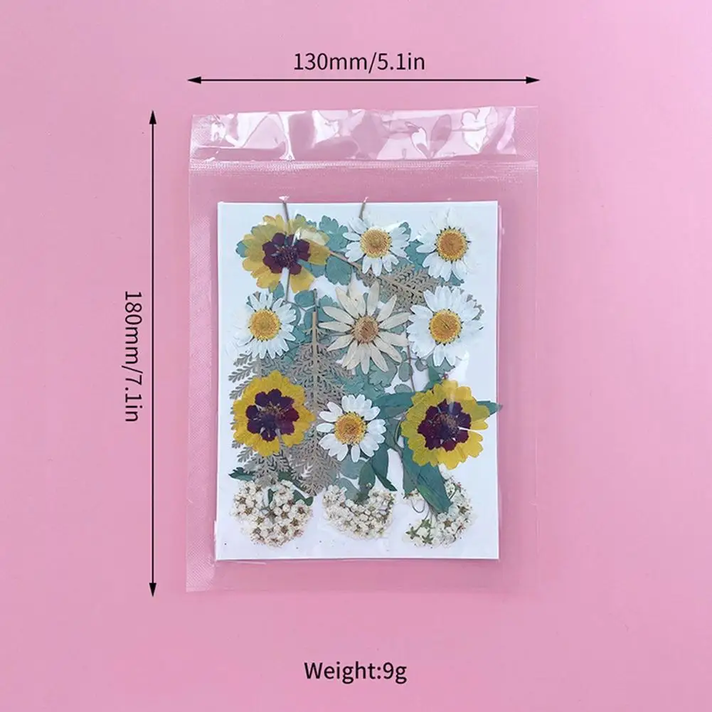 DIY Pressed Flowers Stickers 1 Bag Dried Flowers Mixed Plants For Phone Case Jewelry Making Crafts Nail Art Decor Accessories