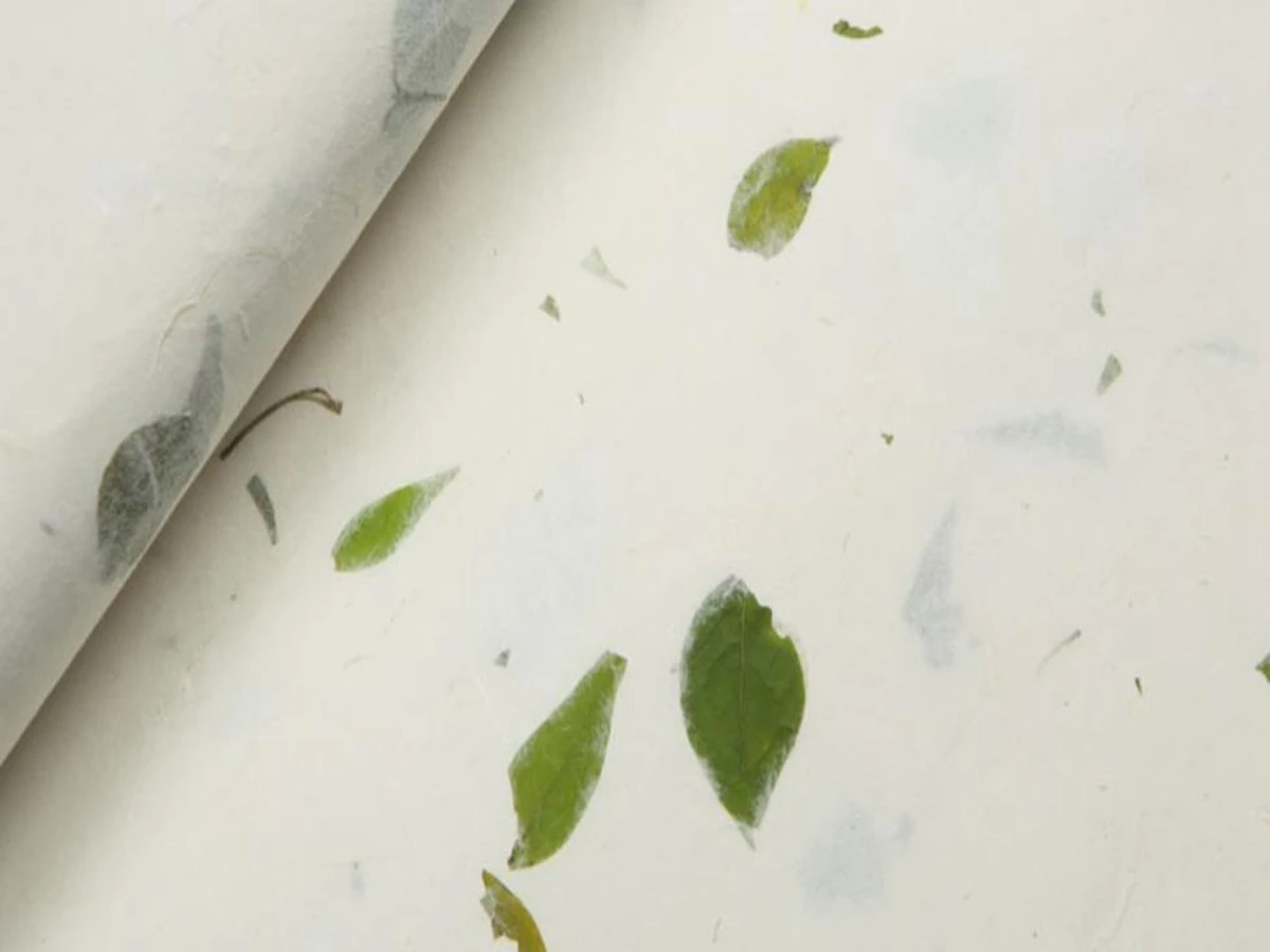 10pc Various Color Dragon-Clouds Xuan Rice Paper Chinese Ink Brush Painting Calligraphy Sumi-e