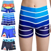 1pc Boys Summer Swim Trunks Kids Cartoon Shark Dinosaur Swimwear Quick Dry Childs Bathing Bottom Vacation Kids Boys Beach Shorts 1