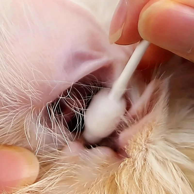 1pc-Pet cotton swabs, ear swabs, cats, dogs, ears cleaning cotton swab boxes, clean and hygienic