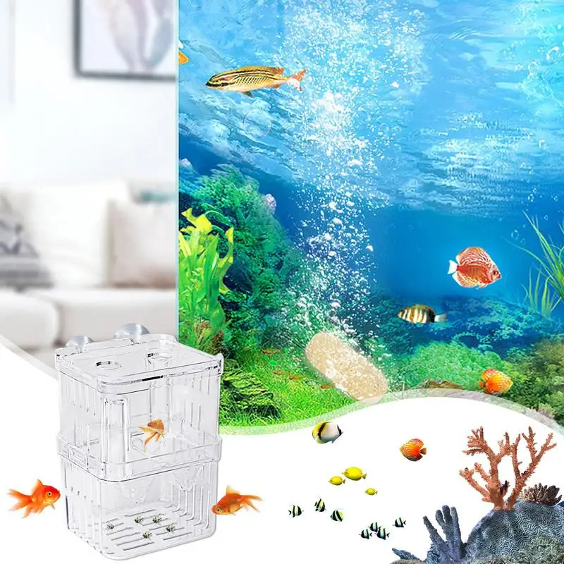 Fish breeding box breeder box for fish tank acrylic hatchery incubator divider nursery