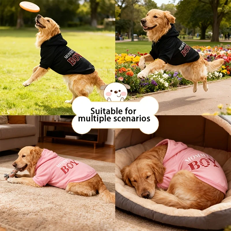 S4a0424cbcf5a4acc9fc2ebcfdade95efh