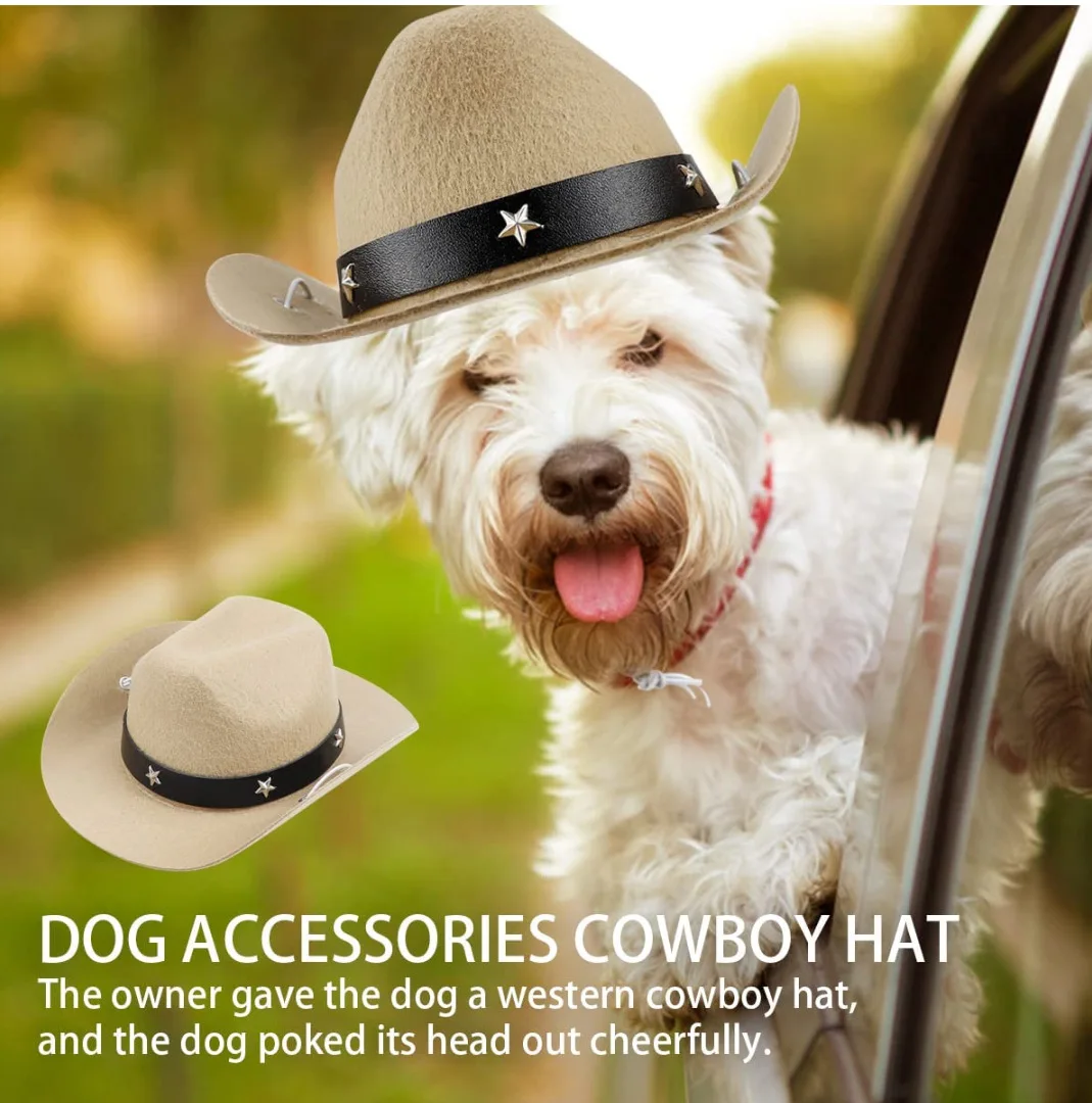 Chapeau de Cowboy Chic pour Petit Chien | Bouledogue Français & Plus - 2025 - Vêtement et accessoires pour chiens - Doglovedesign