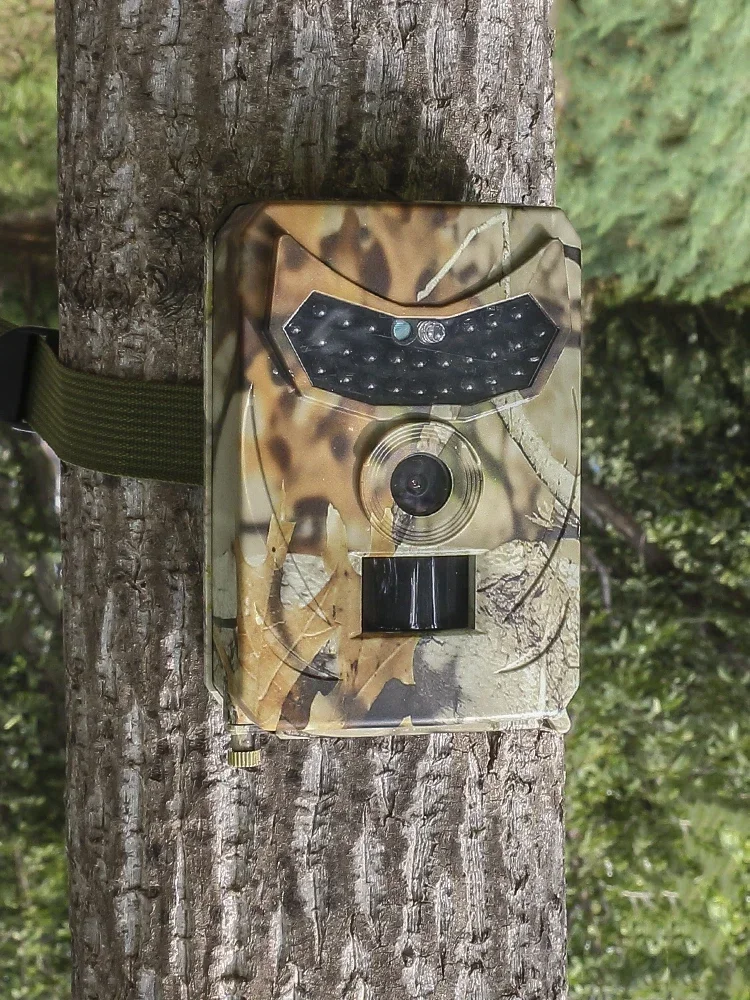 Caméra extérieure 12MP détecteur animaux sauvages étanche HD avec vision thermique infrarouge nocturne