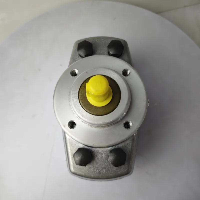 For HAWE hydraulic radial piston pump R1.0
