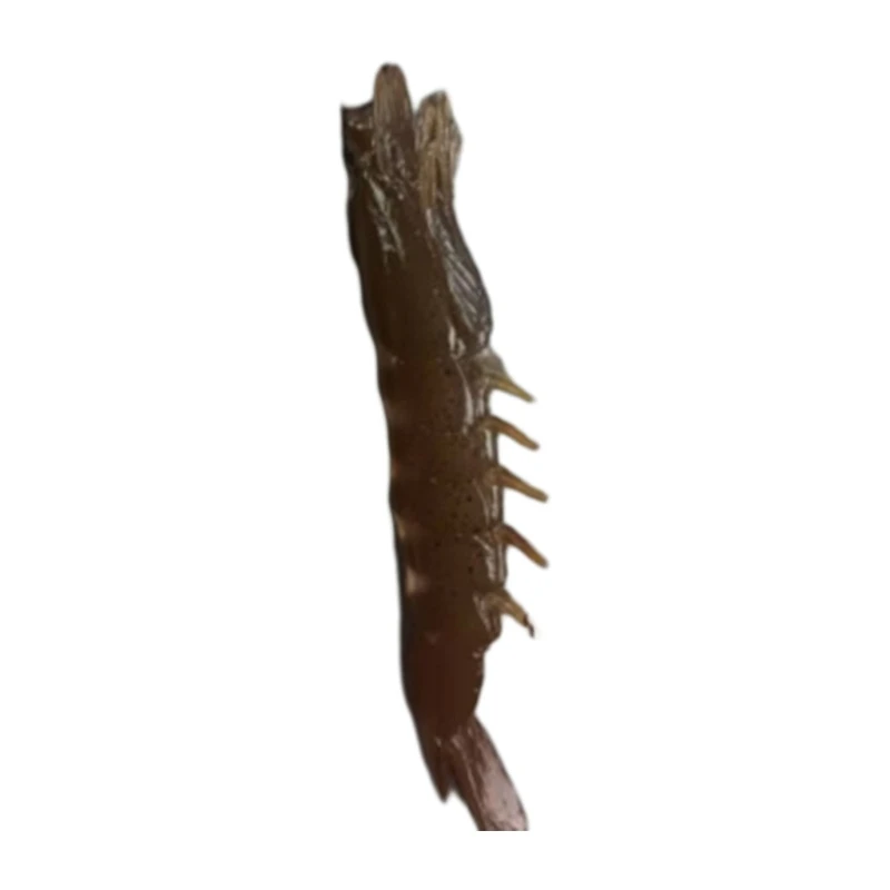GORGECRAFT 12 Figurines De Crevettes Artificielles En Plastique PVC Réaliste Faux Aliments De La Vie Marine Fruits De Mer Crevettes Cuites Et Décortiquées Modèle Pour Le Marché L'Affichage Les Fêtes