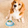Pet Feeding Puzzle Toy 5