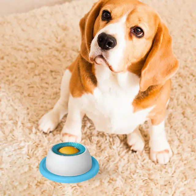 Pet Feeding Puzzle Toy 5