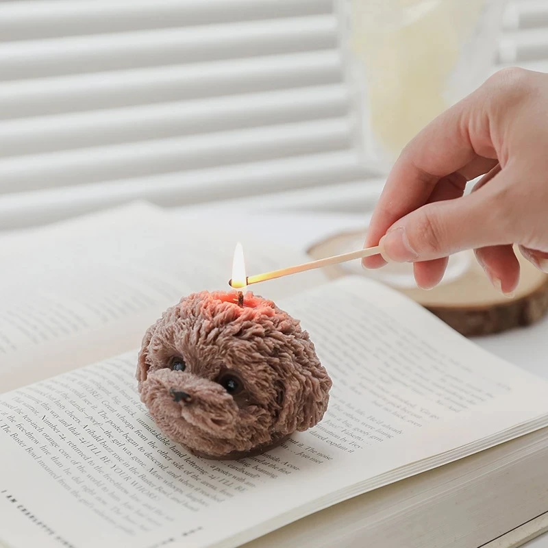 Are Aromatherapy Candles Safe For Dogs