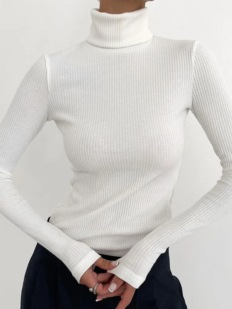 

Autumn Turtleneck Bodycon Women's Knitted Sweater Casual Long Sleeve Classic Pullover Jumper Autumn 2023 Office Lady Basic Top